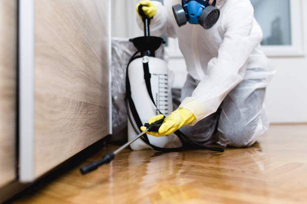 Pest Control Cost in Ricardo, TX