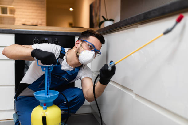 Best Mosquito Control Services  in Ricardo, TX