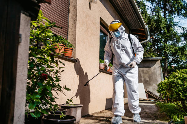 Best Flea Control Services  in Ricardo, TX