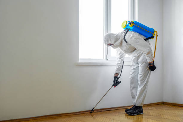 Best Wildlife Control Services  in Ricardo, TX