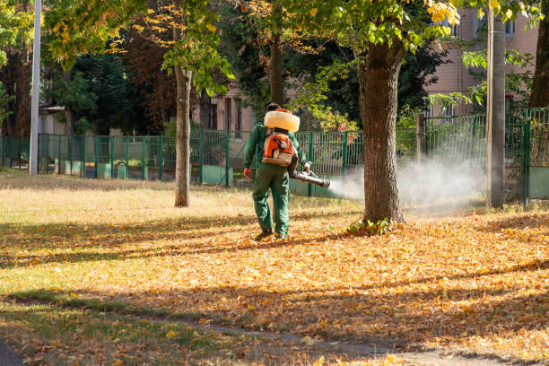Best Emergency Pest Control  in Ricardo, TX