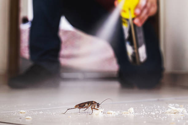 Best Affordable Pest Control Services  in Ricardo, TX