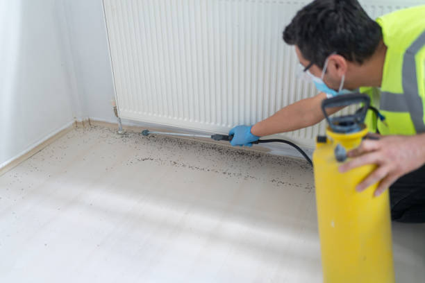 Best Best Pest Control Companies  in Ricardo, TX